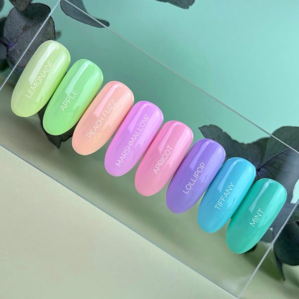 paleta special verano